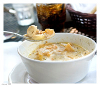 Clam Chowder, Provincetown '08